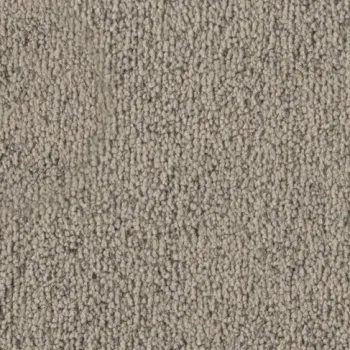 Vorwerk Safira Teppichboden Farbcode 7H42 – Draufsicht ohne Etikett